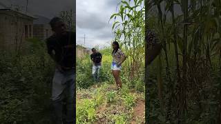 In the bush funfacts nolly comedyfilms funnyfacts funny nollywwod movie nollywoood funnyco [upl. by Asiek167]