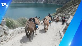 Colectivos animalistas piden eliminación de caballos para el ascenso a laguna de Quilotoa [upl. by Eedrahs]