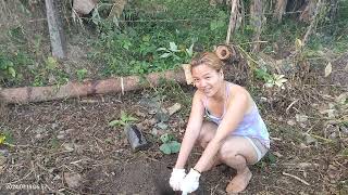 Planting Mangosteen san miguel bohol 2024 [upl. by Shellans]