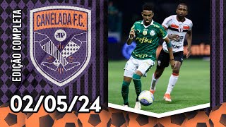 INCRÍVEL Palmeiras LUTA MUITO e VENCE o BotafogoSP com GOL aos 98min  CANELADA [upl. by Ailerua248]