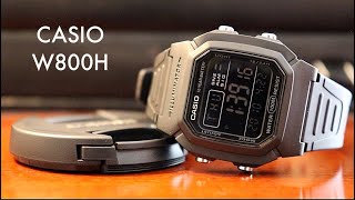 THE GOD TIER CASIO W800H  THE HEAVY DUTY F91W [upl. by Atteuqaj]