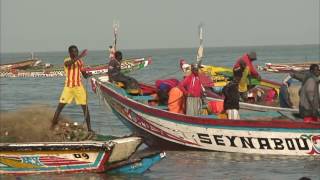 vakantie Gambia [upl. by Legnaleugim696]