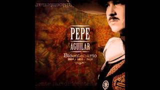 Pepe Aguilar  El Palo Verde [upl. by Atikram]