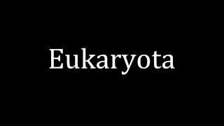 How to pronounce Eukaryota [upl. by Nnylarak]