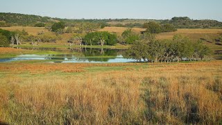 Looking After the Land [upl. by Ottie]