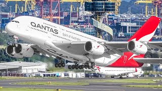 400 AIRCRAFT TAKEOFFS amp LANDINGS in 4 HOURS Aircraft Identification  Sydney Airport Plane Spotting [upl. by Winnah]