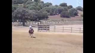 Antonio Domecq at A Campo Abierto  Country Riding Demonstration [upl. by Reaht]