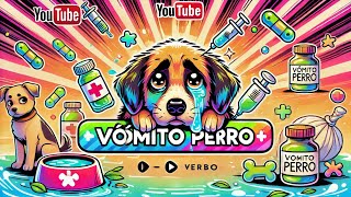 ¿Qué Darle a tu Perro Cuando Vomita Bilis 🐶🤢 ¡Consejos para Aliviarlo [upl. by Neona]