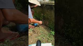 mbS1266 External Wall Leak Patching patching tutorial trendingshorts youtubeshorts shorts [upl. by Malvin204]