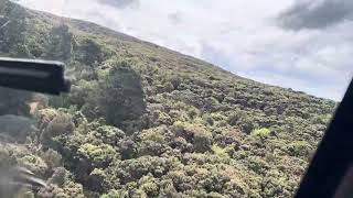 Short Helicopter ride Rakiura Stewart Island [upl. by Salokcin]