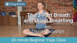 Hatha Yoga with David Procyshyn The 3Part Breath and Ujjayi Breathing [upl. by Kenimod96]