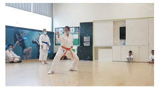 Heian Sandan  Kata Training  Shotokan Karate Kata [upl. by Bruckner]