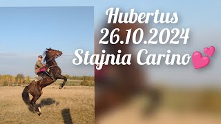 Hubertus Stajnia Carino❤️ [upl. by Kcir907]