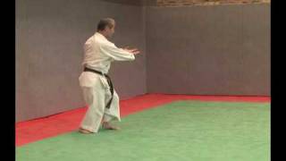 Pinan Nidan profilmp4 [upl. by Haseefan]