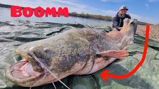 Siluro gigante da 100 kg a spinning con la nuova EvoCat Spin 217 Zeck Fishing [upl. by Buote]