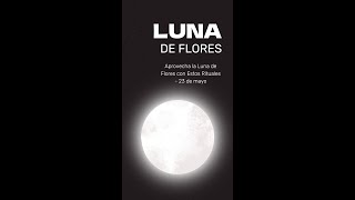 Aprovecha la Luna de Flores con Estos Rituales 23 de mayo 🌕🌼 [upl. by Immac733]