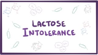 Lactose intolerance  causes symptoms diagnosis treatment amp pathology [upl. by Enihpesoj55]