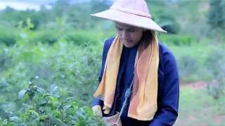 စာချွန်တော်  ဇွဲပြည့် l Sar Chon Taw  Zwe Pyae  Official MV [upl. by Llerruj]