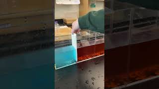 Oceanography  Warm Water vs Cold Salty Water [upl. by Foushee]