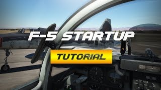 DCS F5 Startup Tutorial [upl. by Nosreffej]