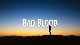 Taylor Swift  Bad Blood Lyrics [upl. by Dihgirb]