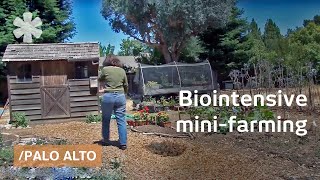 Biointensive minifarming grow more food in less space [upl. by Toscano708]