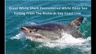 Great White Shark Encountered While Deep Sea Fishing From The Richards bay Coast Line [upl. by Reniti83]