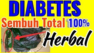 AlhamdulillahSudah ditemukan obat diabetes paling Ampuh100 Alami [upl. by Ehc295]