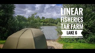 Carp fishing  Tar farm lake 6 Linear Fisheries for 24 hrs in gale force winds and heavy rain [upl. by Adlei]