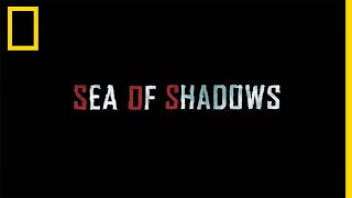 SEA OF SHADOWS [upl. by Zosima]