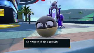 Shiny Hisuian Voltorb after 430 eggsPokémon Violet [upl. by Soma]