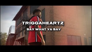 Triggaheartz  Say What Ya Say Official Music Video [upl. by Dominic255]