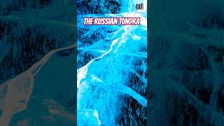 The Russian Tundra russia ytshorts trendingshorts [upl. by Zennas796]