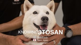 SoftBank Team Japan Knowing Otosan [upl. by Asabi]