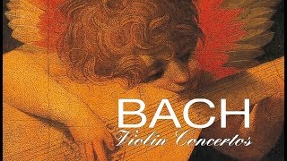 JS Bach The Violin Concertos [upl. by Eugenia]