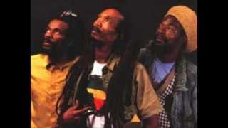 ISRAEL VIBRATION  Live in Jah Love Forever [upl. by Lowe]