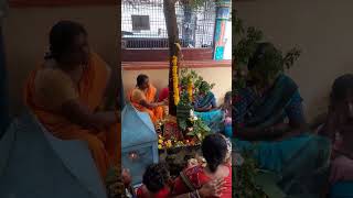 Sri Tulasi Datri Sahitha Sri Lakshmi Narayana Pooja  Sri Sesha Sai Mandir 13112024 [upl. by Carbone]