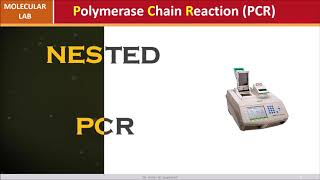 Nested PCR [upl. by Ylliw358]