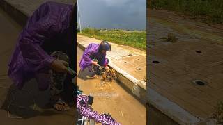 Street Cleanup Unclogging Culvert Drains and Removing Debris satisfying cleaning shorts video [upl. by Esinek]