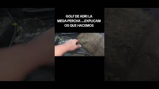 GOLF DE ADRI LA MEGAPERCHA EXPLICAMOS QUE HACEMOS [upl. by Ansley]