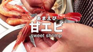 Become Sushi “sweet shrimp”〜 甘エビ（あまえび）鰤門（しもん） 鮨 なかむら [upl. by Warwick801]