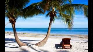 Florida Keys All Inclusive Resorts enjoy Florida Keys All Inclusive Resorts [upl. by Aita]