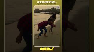 Mamboo Manamithaa  Thanupp kapilkapilan shortsfeed shorts reels shortsvideo romanticsongs [upl. by Adieren]