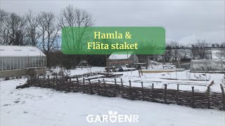 Hamla och fläta staket  Trädgårdshacks med GardenR [upl. by Gall]