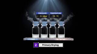 Product Lyophilization Process [upl. by Arutak]