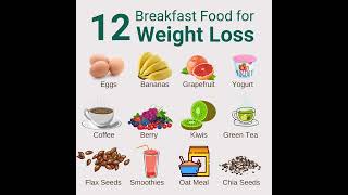 How to Lose Weight Naturally 12 Breakfast Food for Weight Loss [upl. by Anikas348]