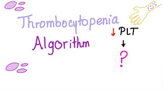 Thrombocytopenia Evaluation Algorithm [upl. by Ltney]