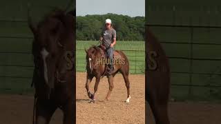 5 Minute Warm Up Routine for Responsive and Soft Barrel Horses [upl. by Remat]