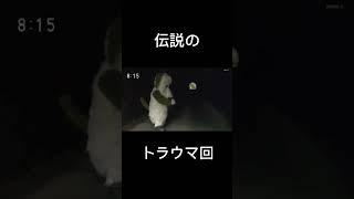 伝説のトラウマ回 わんわんトンネル わんわん 放送事故 おすすめ バズれ 2024 トンネル shorts [upl. by Ikkim]