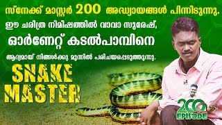 VAVA SURESH SNAKE MASTER EPI 200 SPECIAL  Ornate Sea Snake  Snake Master 03102016  Kaumudy TV [upl. by Onairda16]